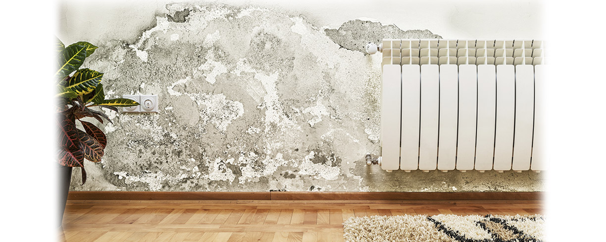 How to Detect and Eliminate Mould
