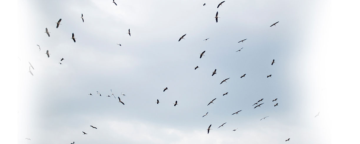 Acts of God: Are you insured against natural disasters?
