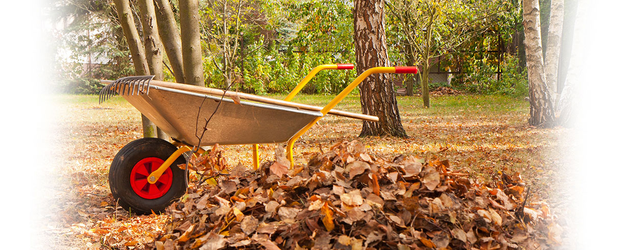 Fall home maintenance to get ready for winter