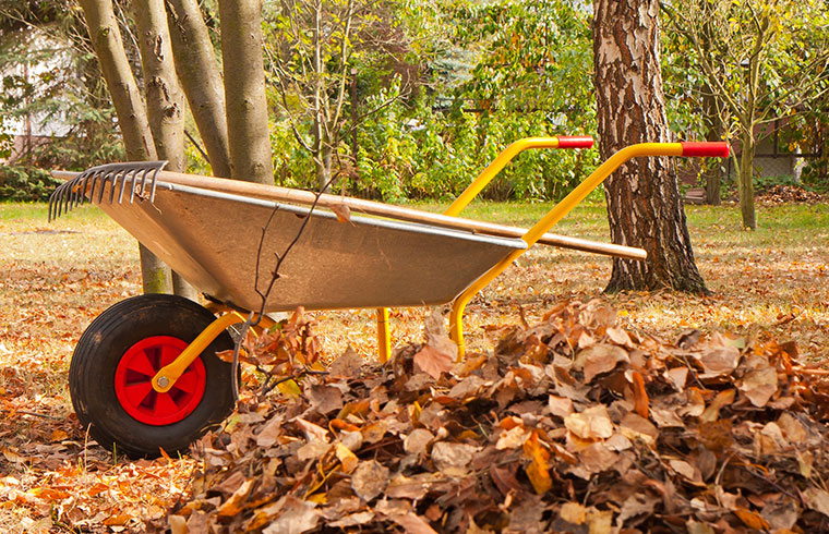 Fall home maintenance to get ready for winter