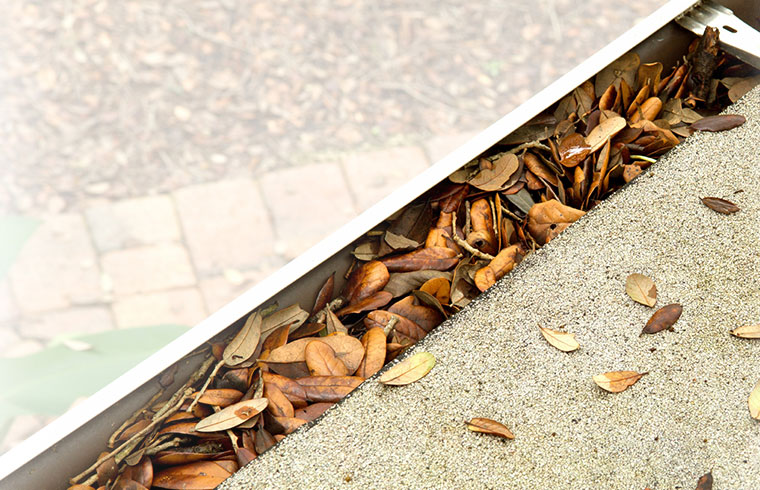 Gutter maintenance