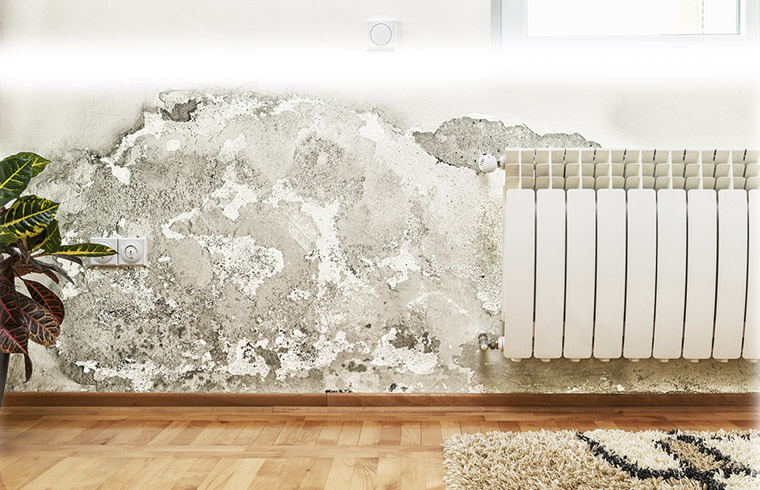 How to Detect and Eliminate Mould